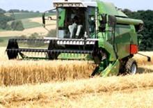 Kombajny zbożowe DEUTZ-FAHR 5445 H
