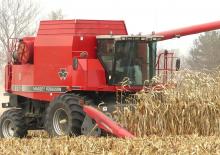 Kombajny zbożowe Massey Ferguson 8780 Rotary