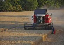 Kombajny zbożowe Massey Ferguson Activa 7345 S