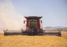 Kombajny zbożowe Case IH Axial Flow 6160 
