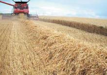 Kombajny zbożowe Case IH Axial Flow 9120
