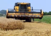 Kombajny zbożowe New Holland CS 6050 (606 E)