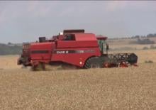 Kombajny zbożowe Case IH CT 5080