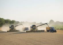 Kombajny zbożowe New Holland CX 8090 Elevation