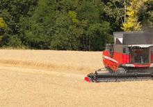 Kombajny zbożowe Massey Ferguson Delta 9280