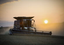 Kombajny zbożowe Massey Ferguson Ideal 8 PL