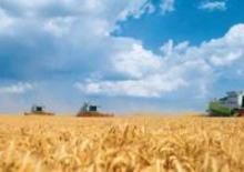 Kombajny zbożowe Claas Lexion 600