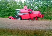 Kombajny zbożowe Massey Ferguson MF 2045