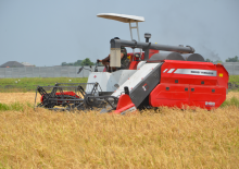 Kombajny zbożowe Massey Ferguson MF 2168