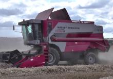 Kombajny zbożowe Massey Ferguson MF 7274