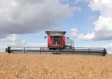 Kombajny zbożowe Massey Ferguson MF 9695