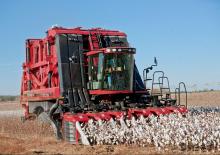 Kombajny zbożowe Case IH Module Express 635