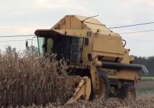 Kombajny zbożowe Ford-NH TF 44