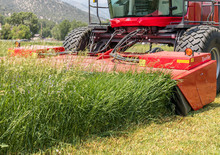 Kosiarka dyskowa z kondycjonerem mocowana z przodu Massey Ferguson 9313 D
