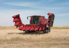 Obrywarki - zbieraczki kolb kukurydzy Case IH 4412 Narrow Row 