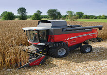 Obrywarki - zbieraczki kolb kukurydzy Massey Ferguson CF 670R