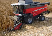 Obrywarki - zbieraczki kolb kukurydzy Massey Ferguson CF 675F