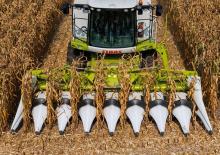 Obrywarki - zbieraczki kolb kukurydzy Claas Corio 680 FC