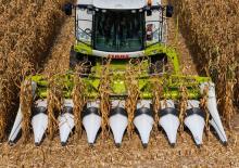 Obrywarki - zbieraczki kolb kukurydzy Claas Corio 870 FC