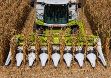 Obrywarki - zbieraczki kolb kukurydzy Claas Corio 870 FC