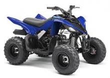Pojazdy terenowe (ATV) i quady Yamaha RAPTOR 90 