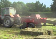 Prasa kostkująca Massey Ferguson MF 1839