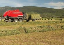 Prasa kostkująca Massey Ferguson MF 2190 SP