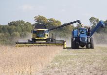 Przyrządy żniwne do kombajnów zbożowych New Holland 720CG 20FT