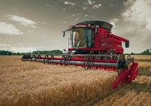 Przyrządy żniwne do kombajnów zbożowych Case IH 2030 7,31M