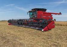Przyrządy żniwne do kombajnów zbożowych Case IH 3162 10,6