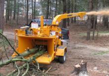 Rębaki drewna Bandit 255 XP