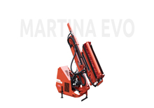 Sprzęt do prac letnich/Kosiarki skarpowe Maschio Martina 600T