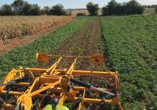 Spulchniacze Agrisem Biomulch 9.00
