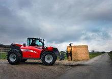 Ładowarki teleskopowe Massey Ferguson MF 9306