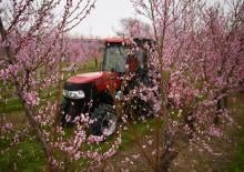Traktory z napędem 2WD Case IH Farmall 100N