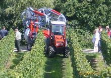 Traktory z napędem 4WD Dexheimer 510 Si