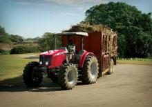 Traktory z napędem 4WD Massey Ferguson MF 5455 Freisicht