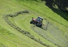 Zgrabiarki rotorowe Lely Hibiscus 725